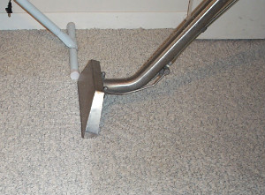 carpet cleaners Waterhead